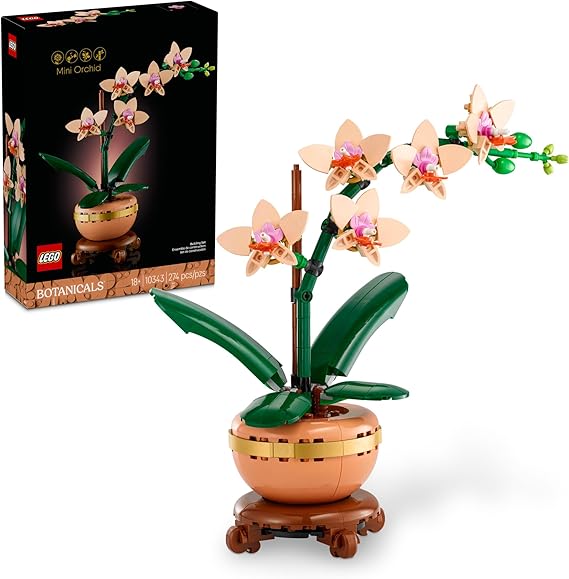 Botanicals Mini-Orchideen-Bausatz